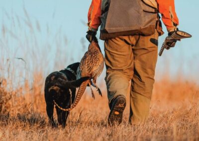 pheasant hunting guide in South Dakota