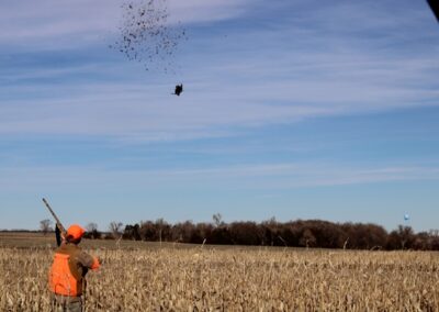 pheasant hunting in South Dakota